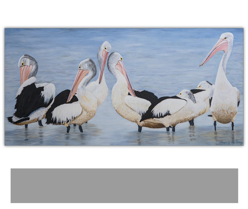 Original-painting-pelicans-preening
