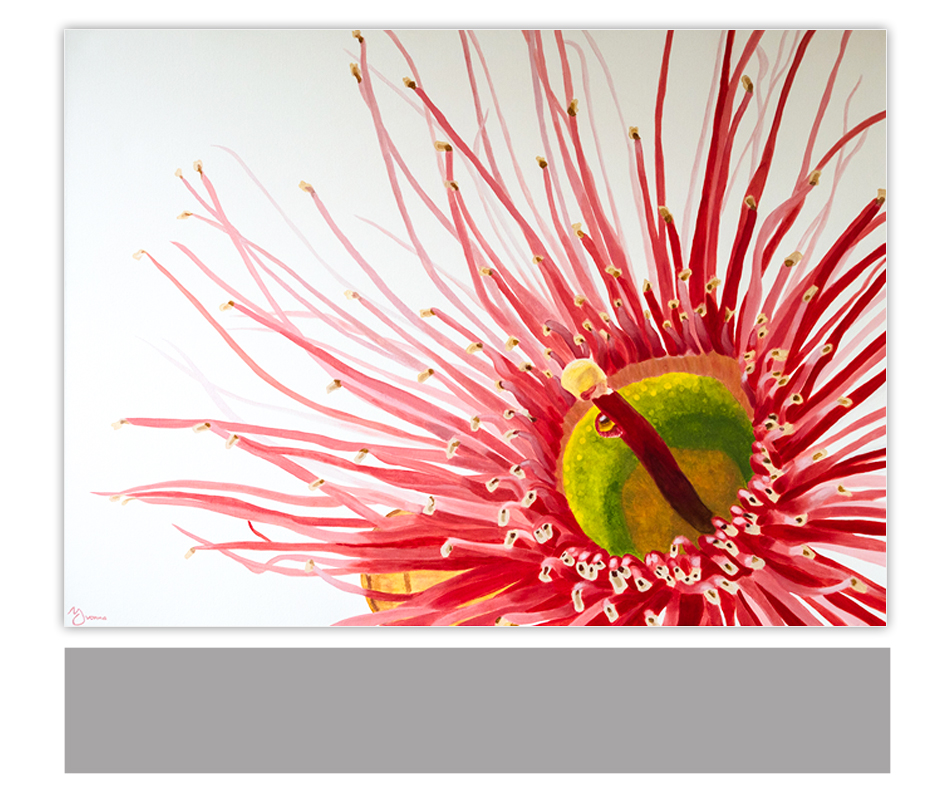 Painting-gumnut-blossom-by-yvonna-de-jong