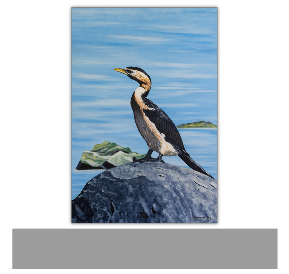 Original-painting-pied-cormorant