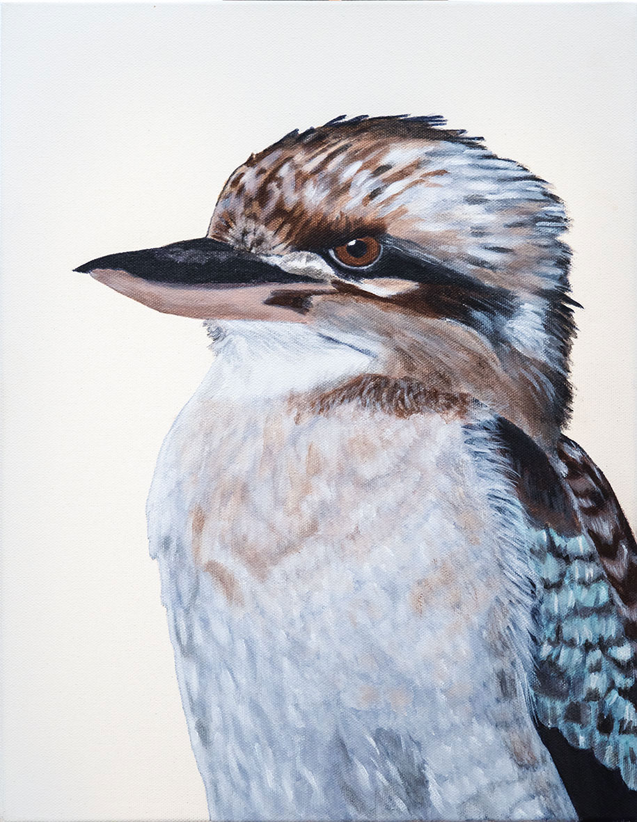 wall-art-king-parrot