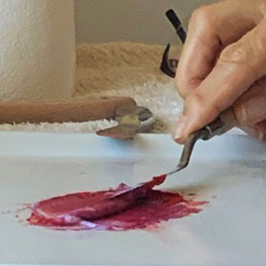 wall-art-king-parrot